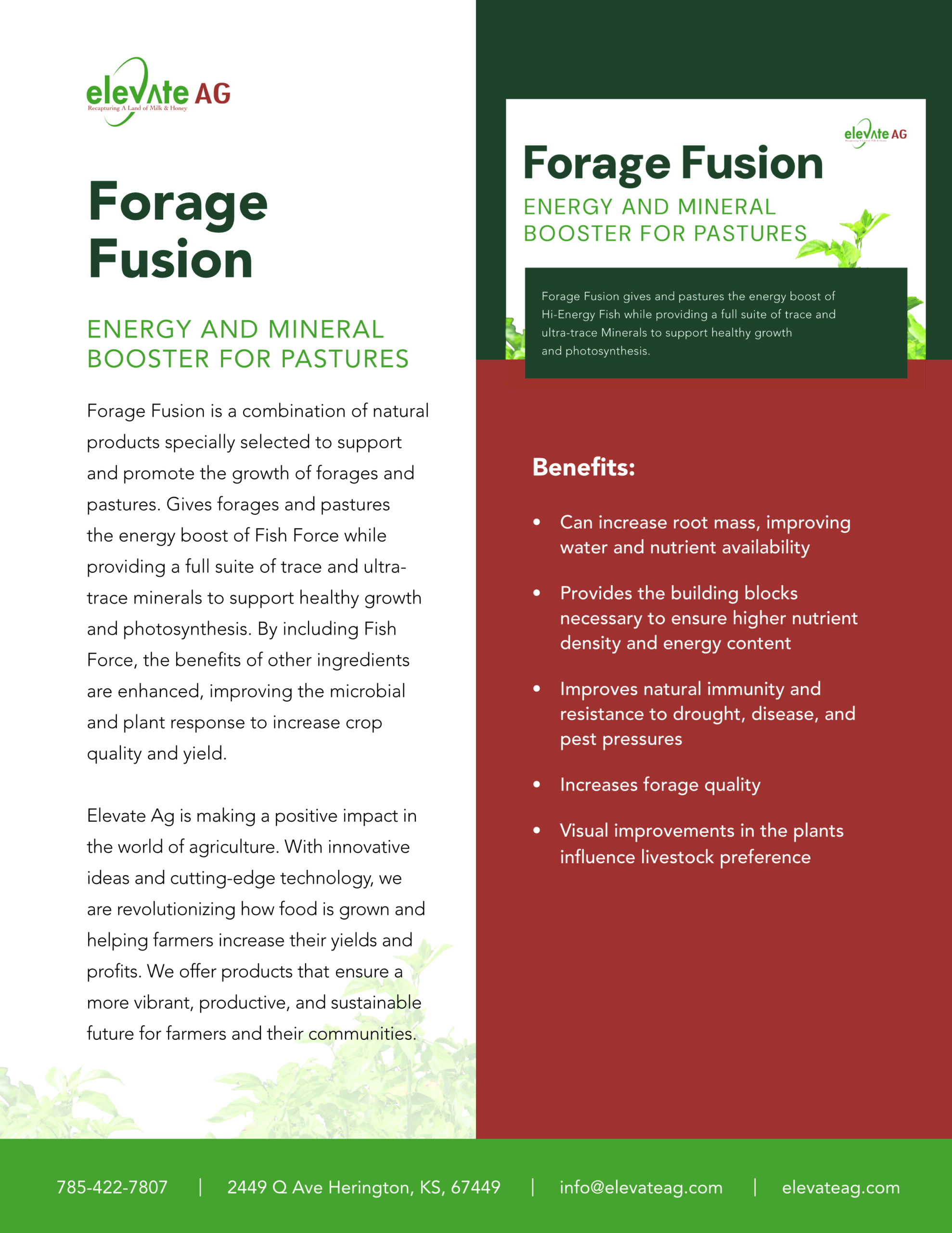 forage fusion