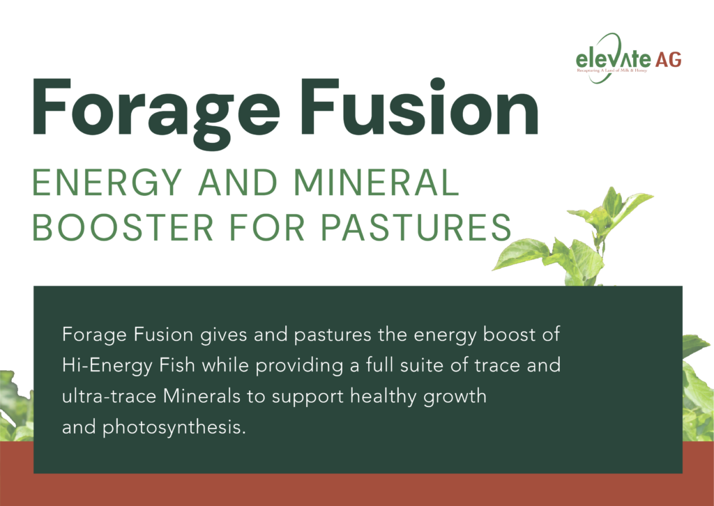 forage fusion