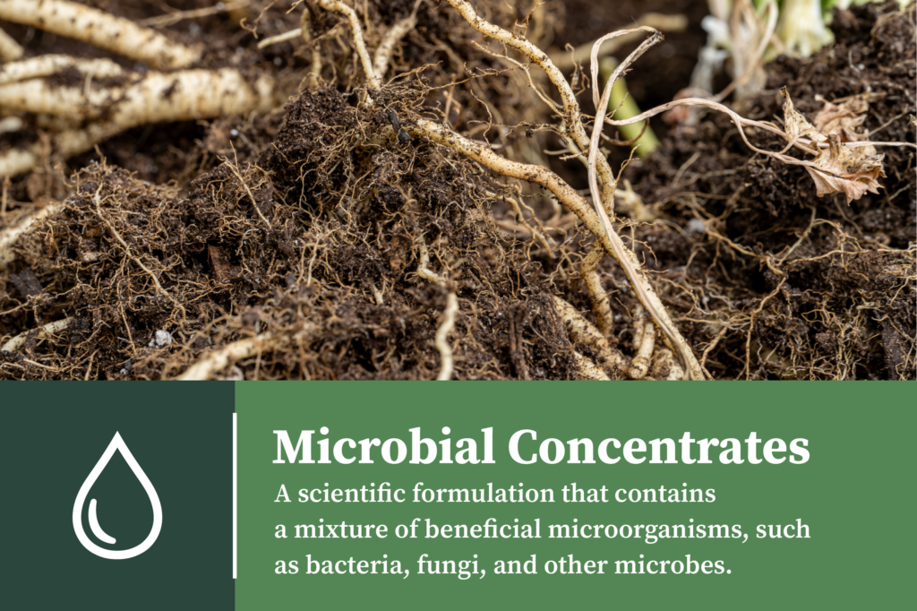 microbial concentrates label