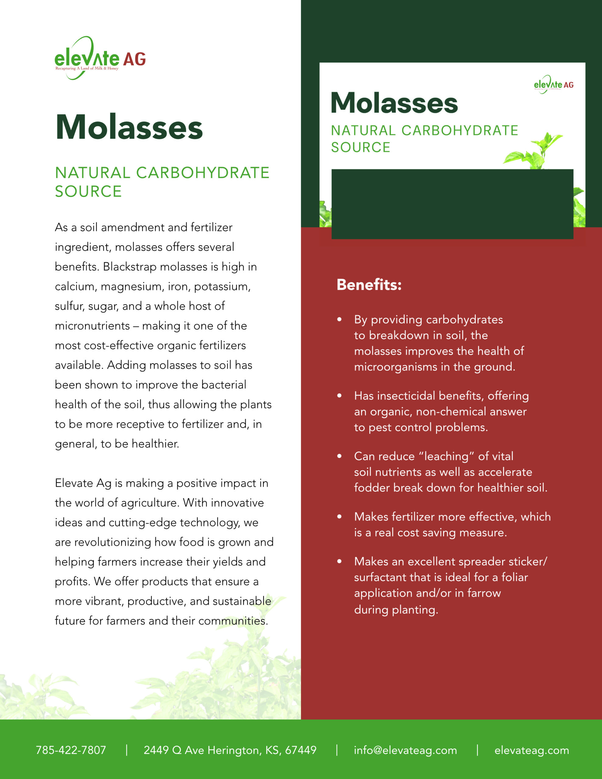 molasses sds sheet