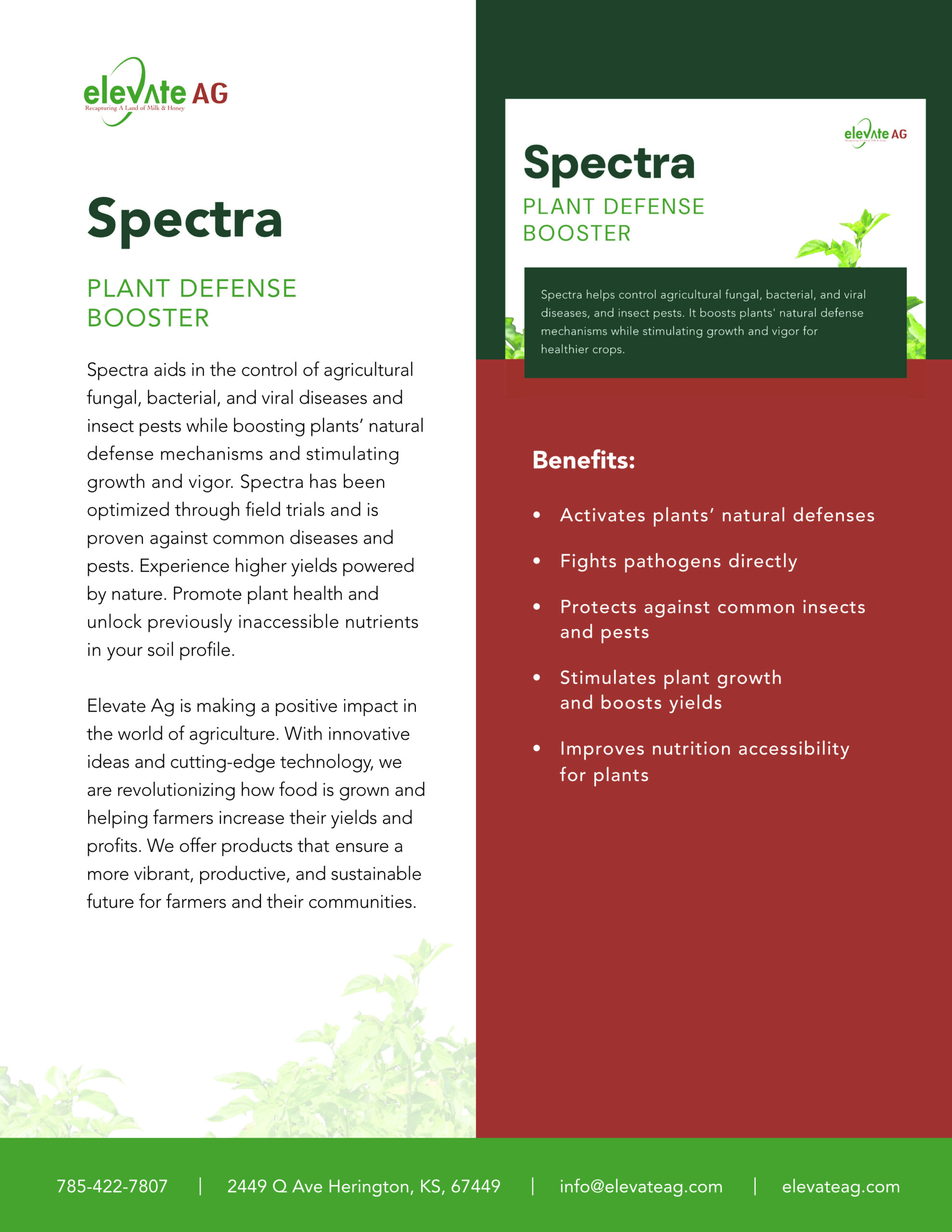 spectra sds sheet