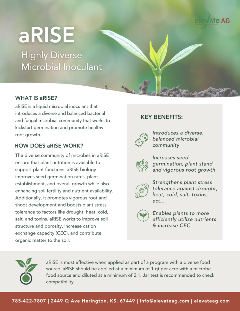 arise